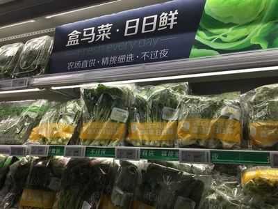 盒馬鮮生 餐飲人必學(xué)的新零售‘超級物種’——解析新鮮蔬菜零售的創(chuàng)新之道