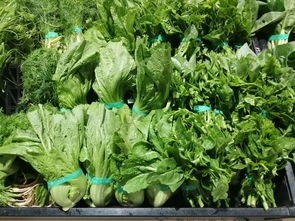 上周云南省生活必需品零售價格觀察 6漲1平5跌，新鮮蔬菜價格回落