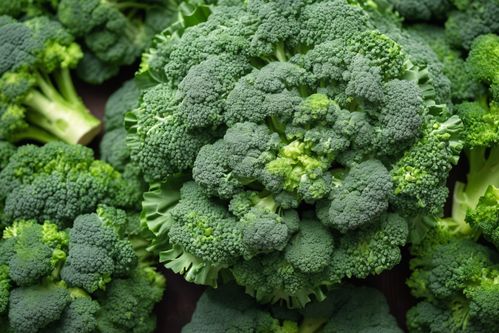 健康餐桌的綠色瑰寶 新鮮西藍花，從農(nóng)場直達您家